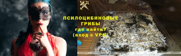 бошки Переславль-Залесский