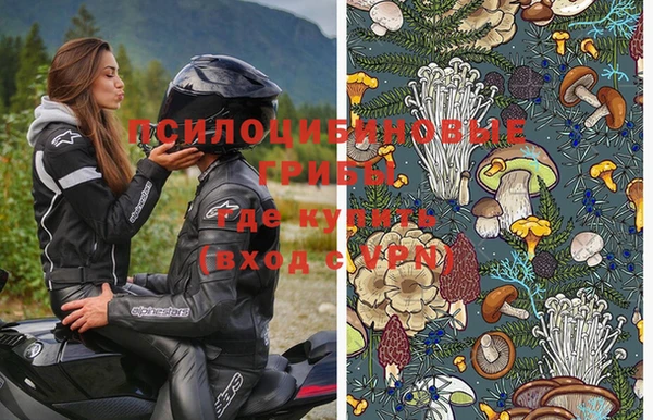 стафф Пестово