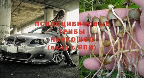 СК Осташков