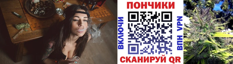 Канабис план MEGA ссылки Пудож